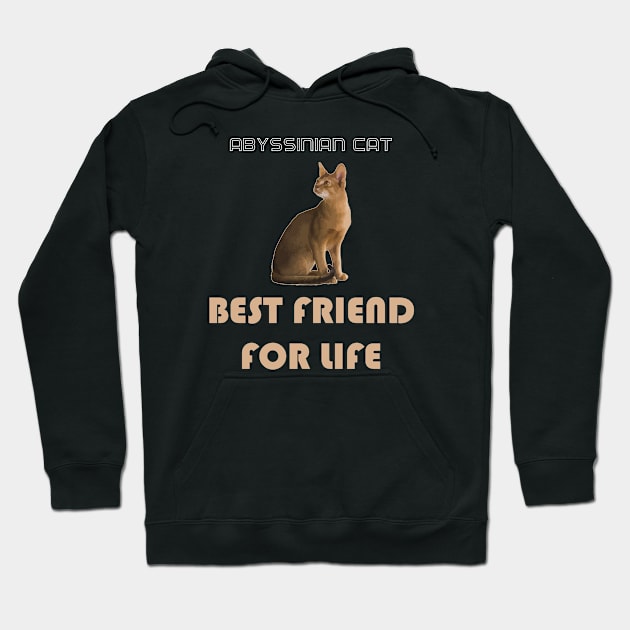 Abyssinian Cat Best Friend for Life Hoodie by AmazighmanDesigns